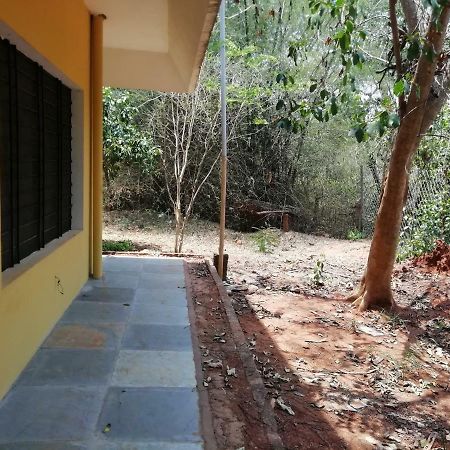 Purity Guest House Auroville Dış mekan fotoğraf