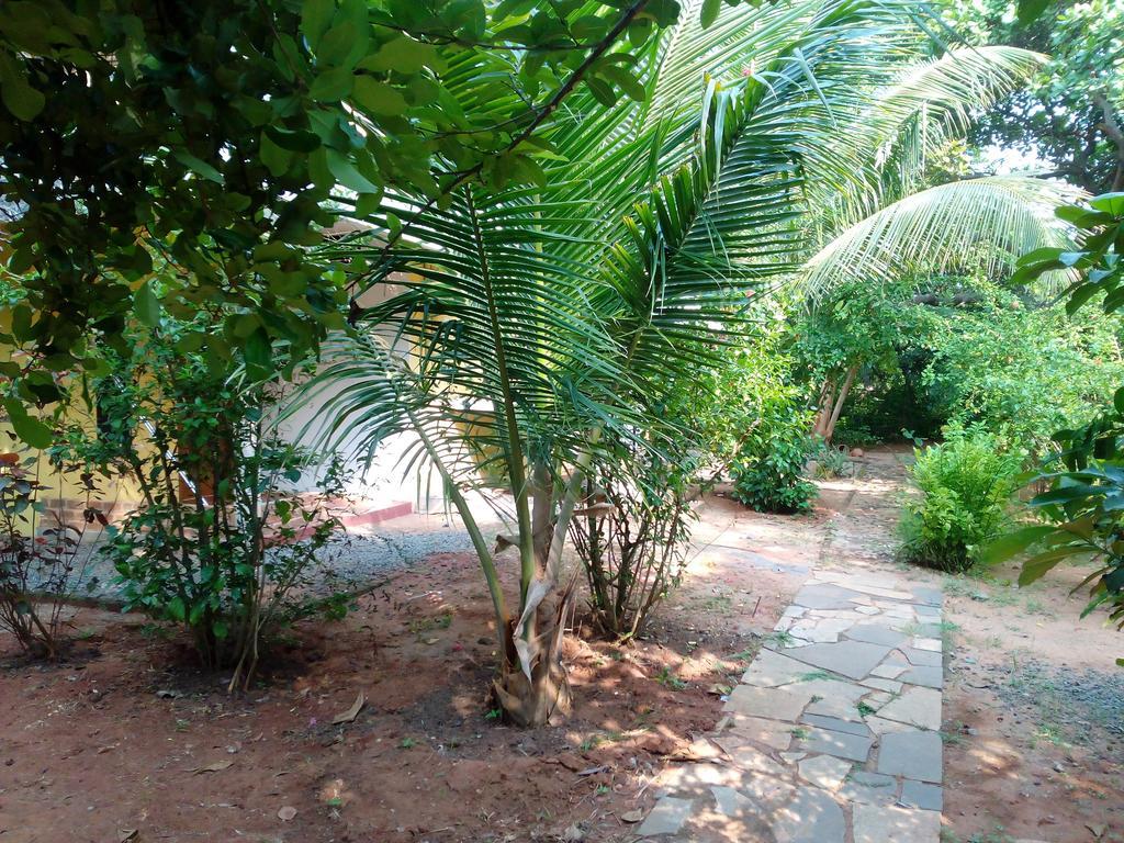 Purity Guest House Auroville Dış mekan fotoğraf