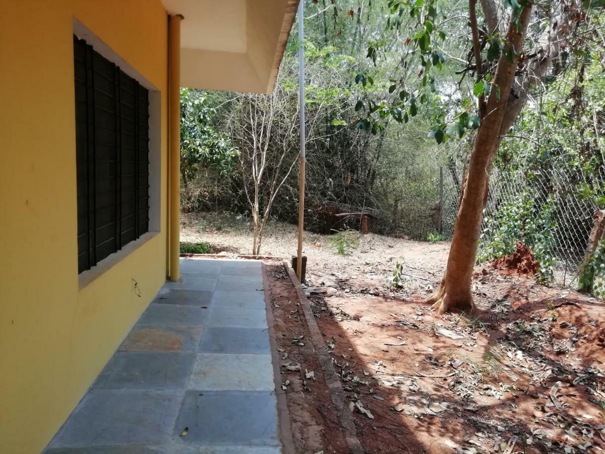 Purity Guest House Auroville Dış mekan fotoğraf