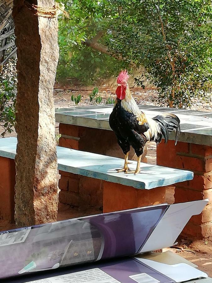 Purity Guest House Auroville Dış mekan fotoğraf